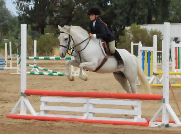 Chaparral's Annie O